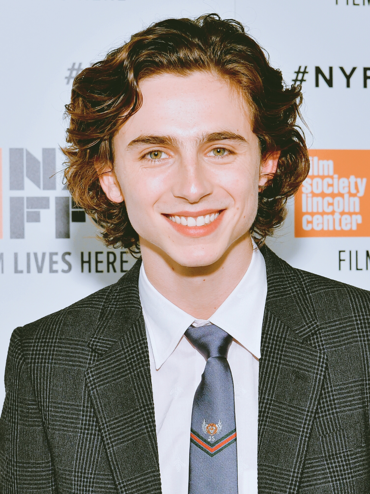 蒂莫西·柴勒梅德timothéechalamet(请以你的名字呼唤我)