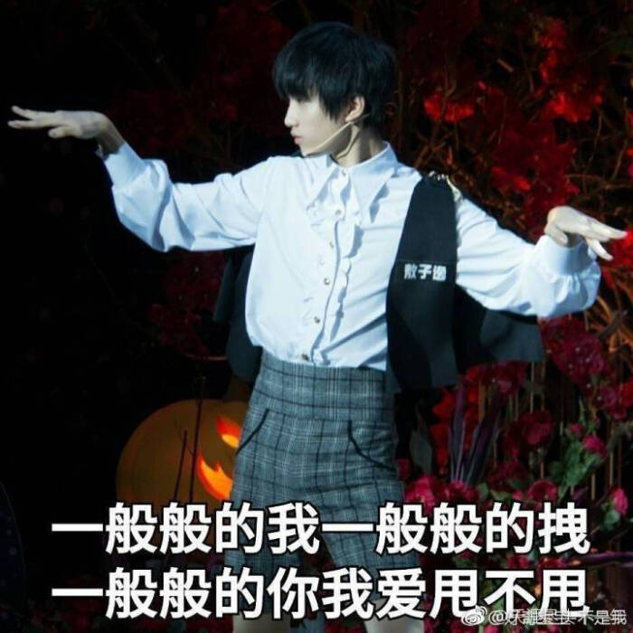 敖子逸表情包