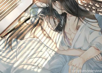 魔道祖师忘羡