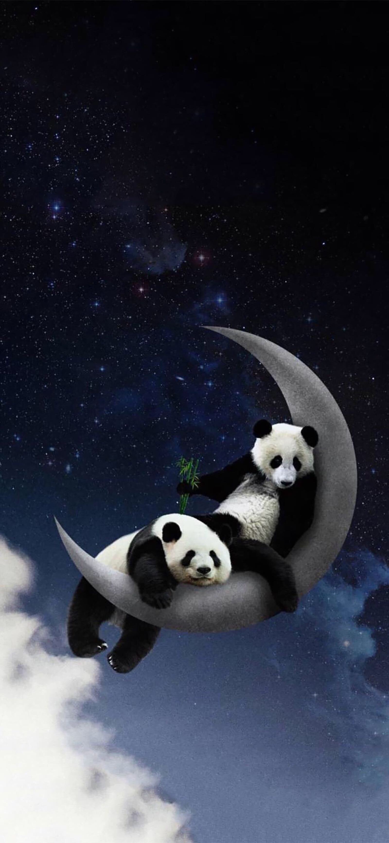 iphone x 熊猫壁纸