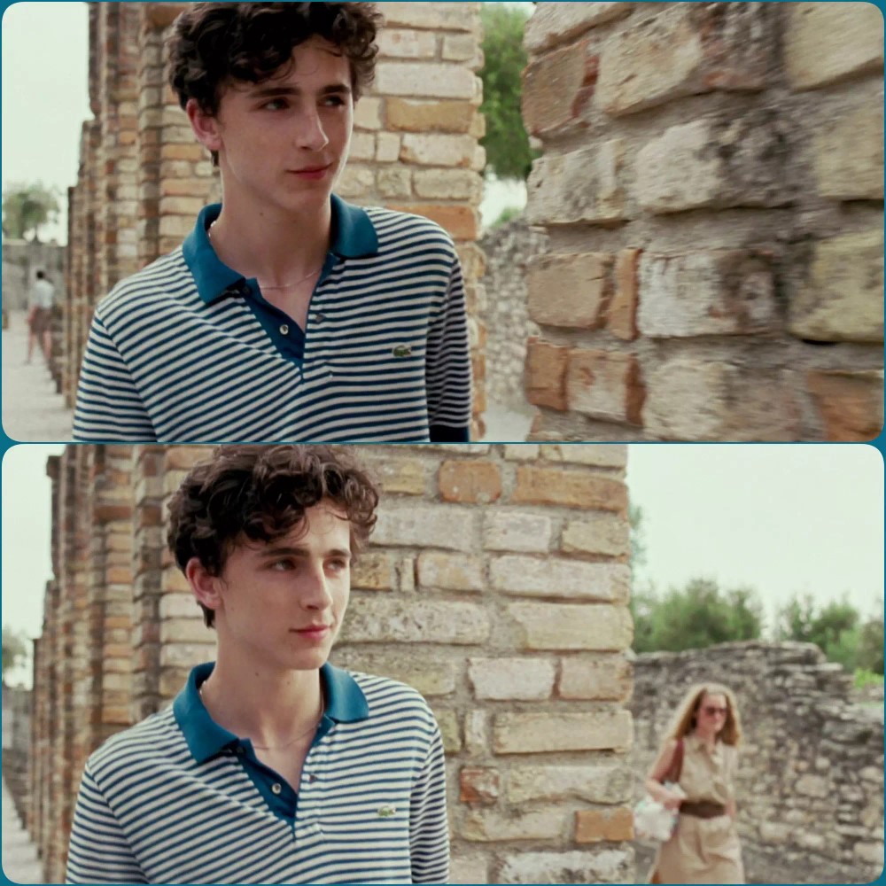 小甜茶timothée chalamet