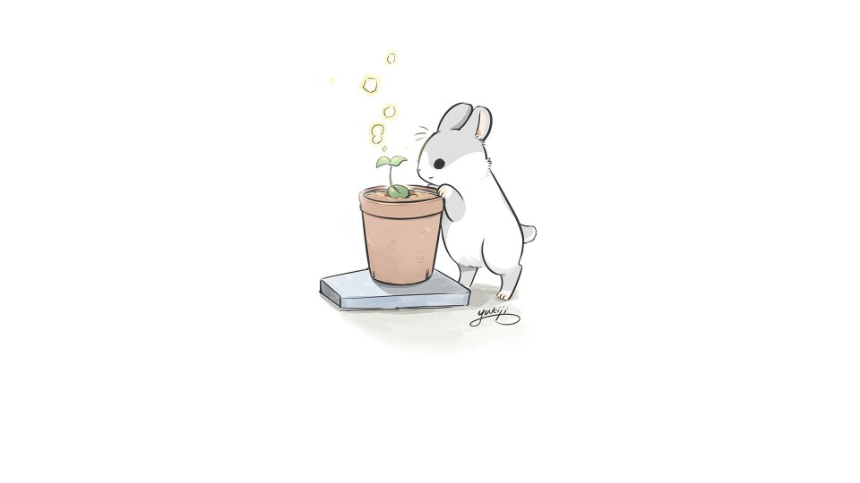 极简可爱插画/小兔子