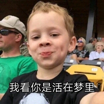表情包搬运工,喜欢点赞关注!假笑男孩 熊猫头 金馆长 狗狗表情