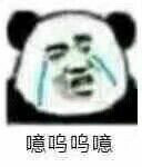 熊猫哭表情包