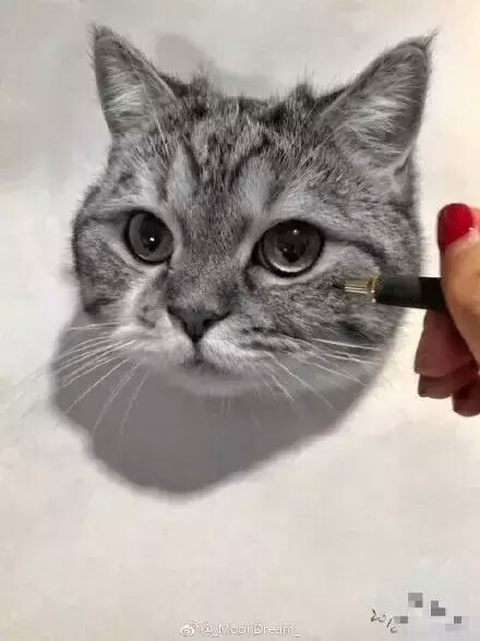 素描动物猫 狗