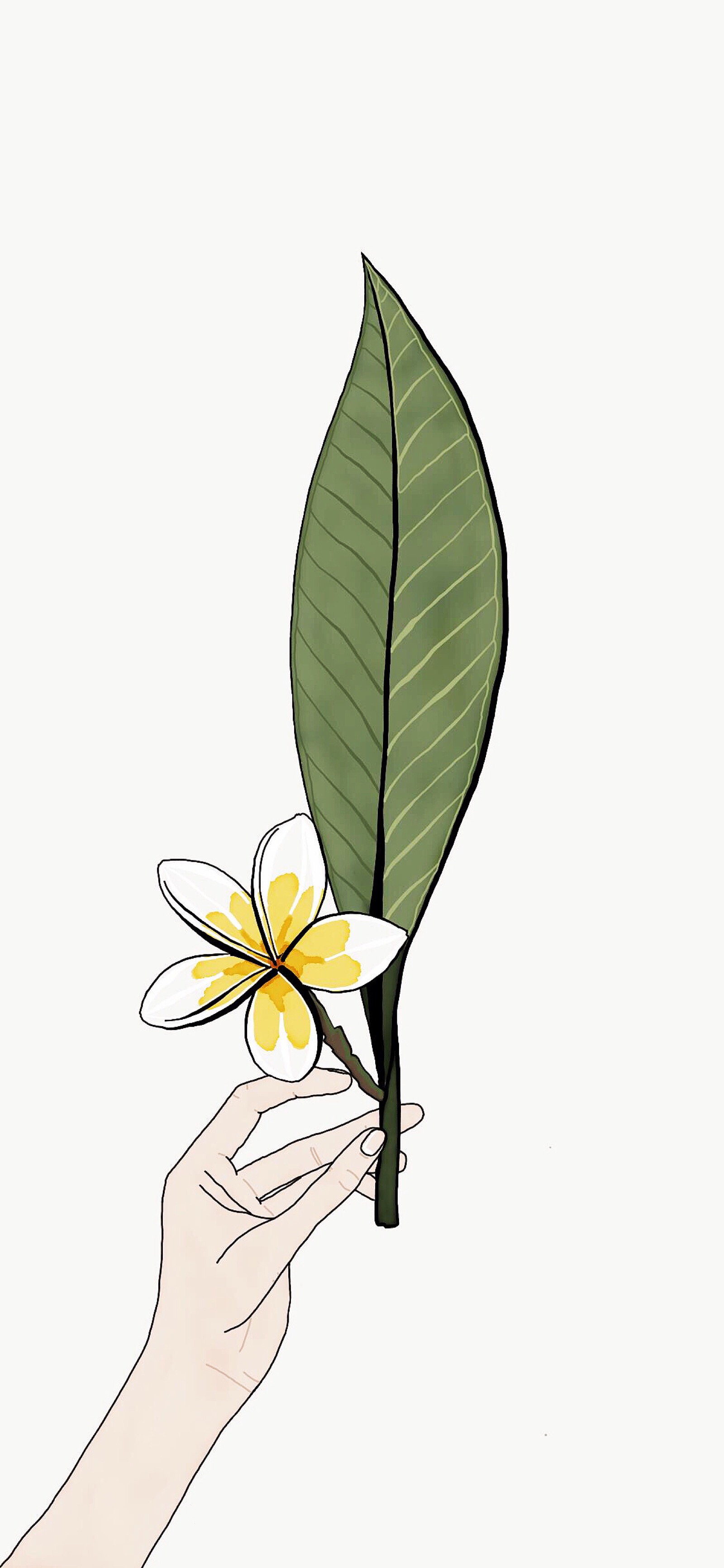iphone x 可爱植物插画风景意境壁纸