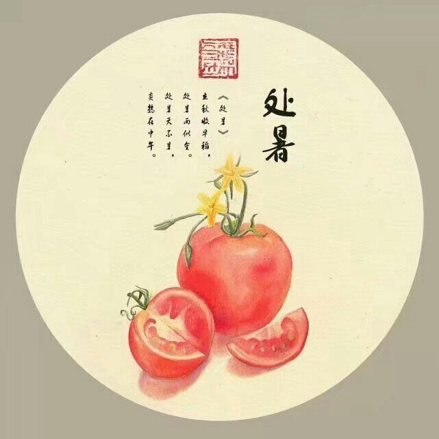 二十四节气camellia张姝的绘画作品