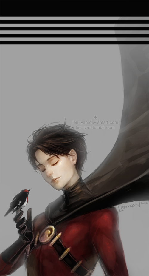 红罗宾 tim drake