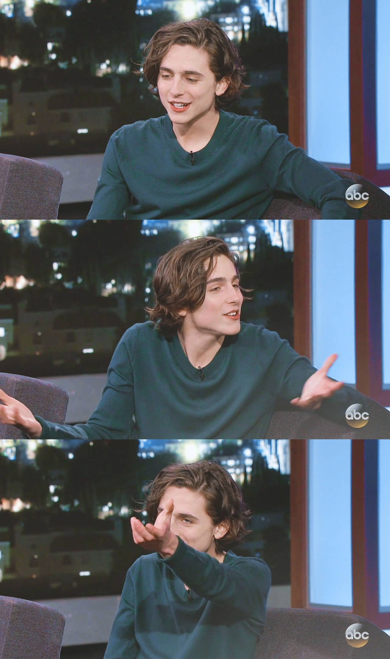 蒂莫西·柴勒梅德timothéechalamet(请以你的名字呼唤我)