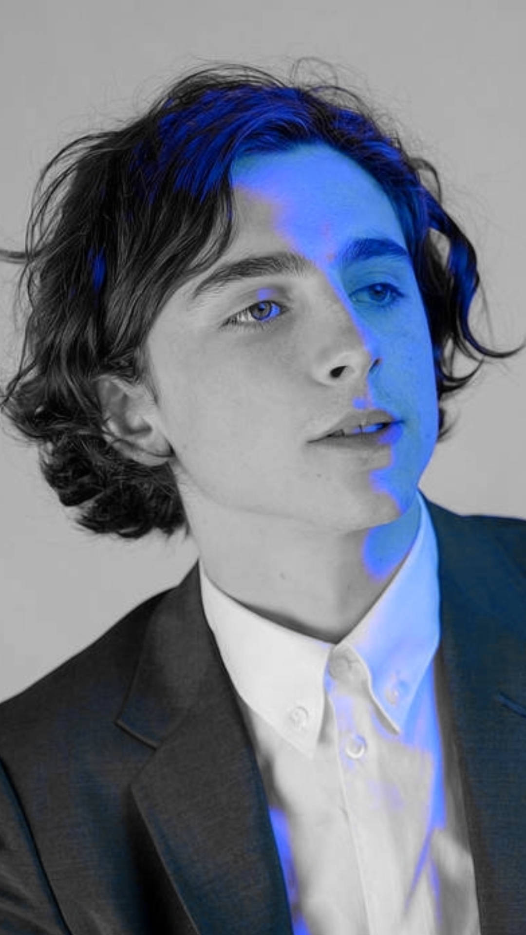 蒂莫西·柴勒梅德timothéechalamet(请以你的名字呼唤我)