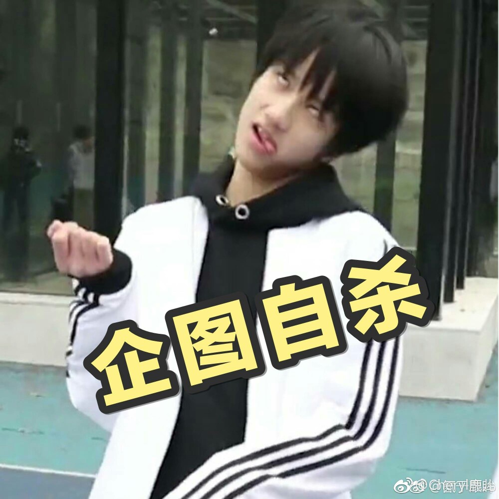 tf家族敖子逸表情包