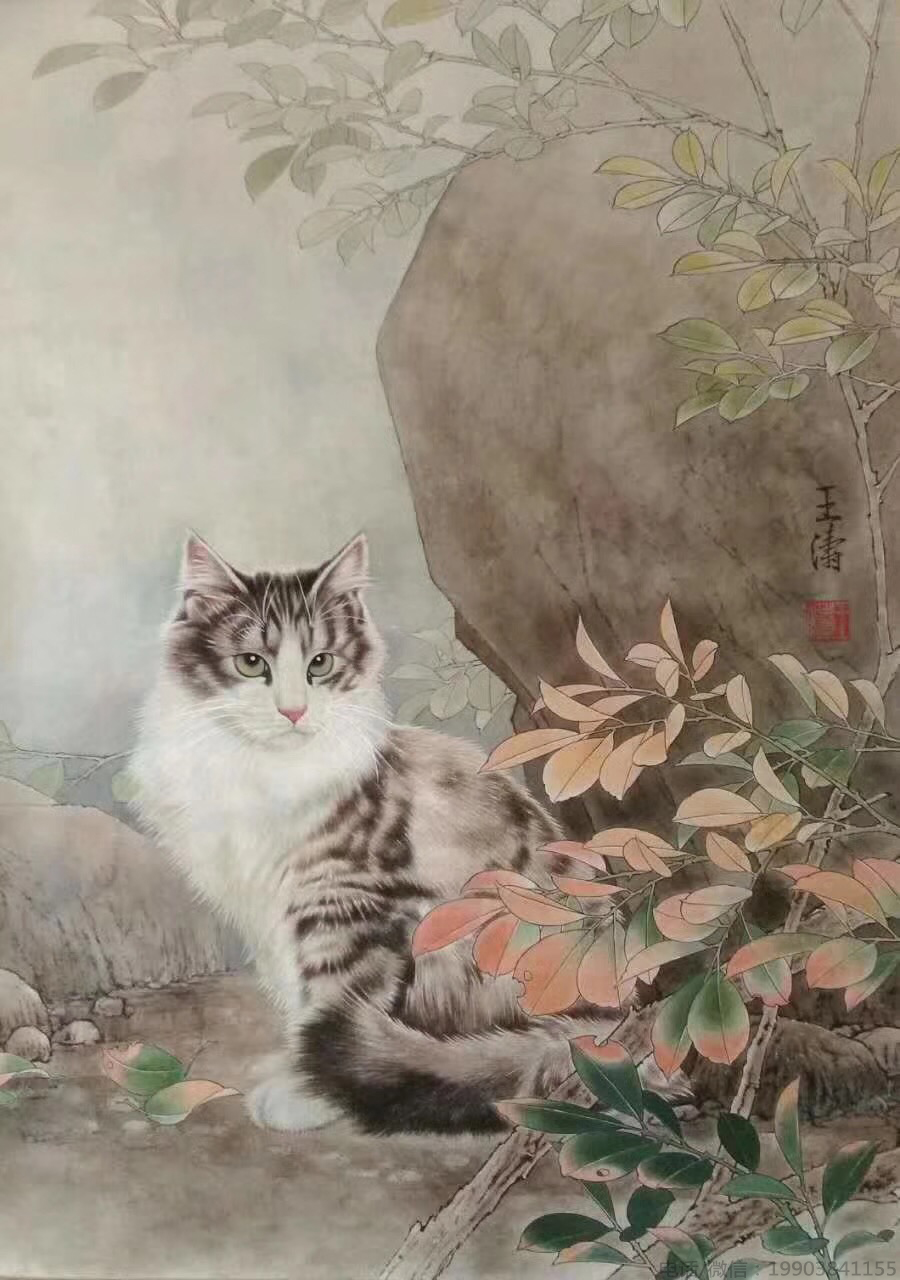 王涛工笔猫作品;字画经纪人——雍政坤;联系电话/微信:19903841155