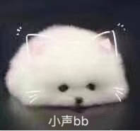 小声bb 