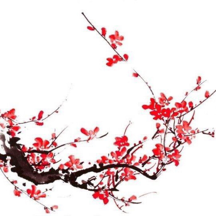 冬 梅花