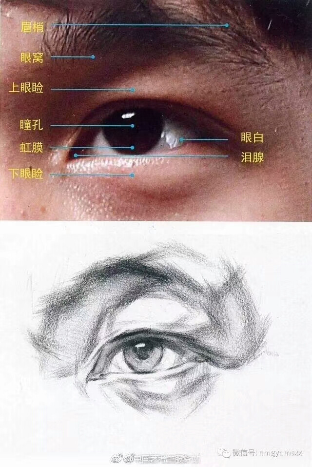 五官素描