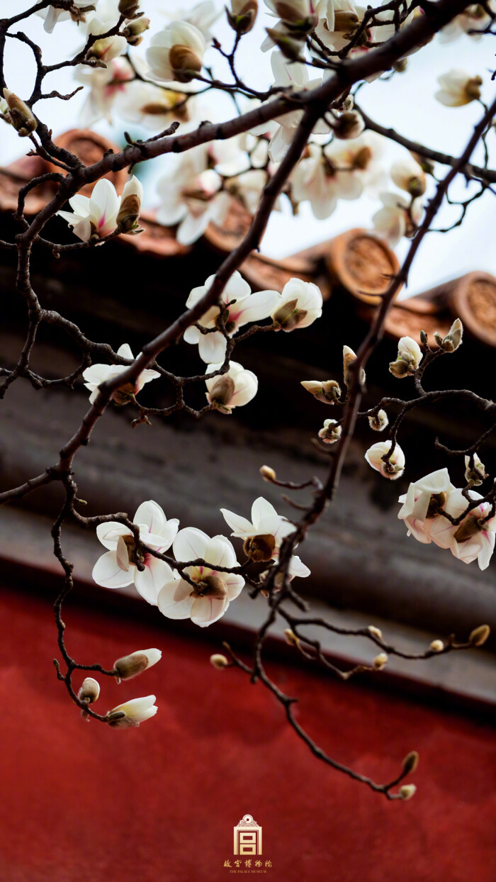 袅袅岩栊碧树圆,纷纷涧户香花满" 照片取自@故宫博物院