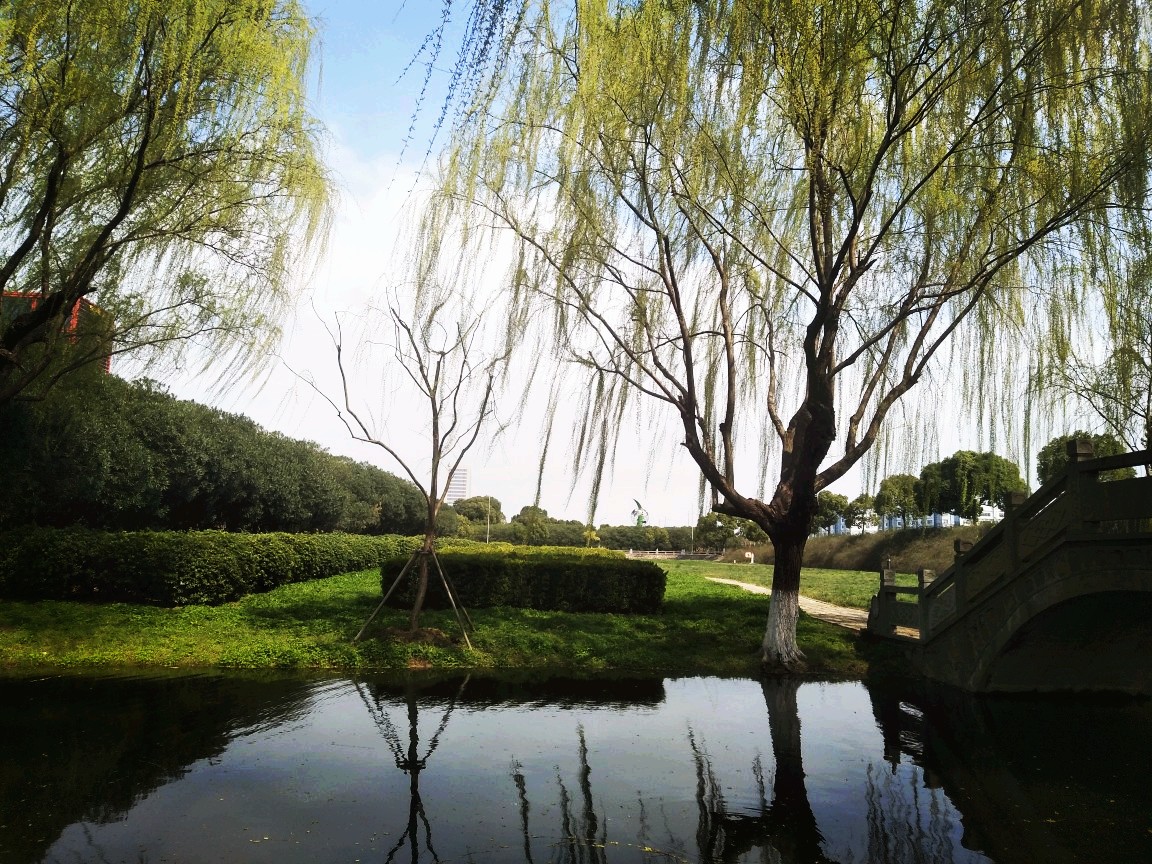 春天的气息