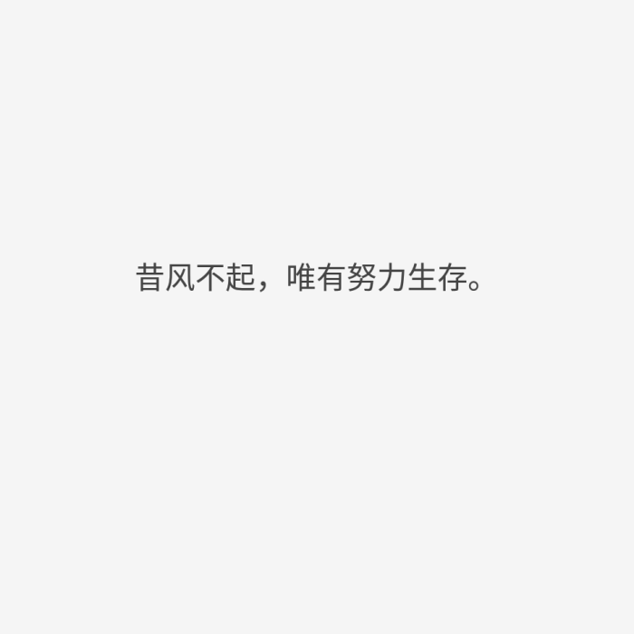 昔风不起,唯有努力生存.