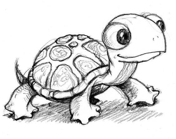 乌龟 简笔画