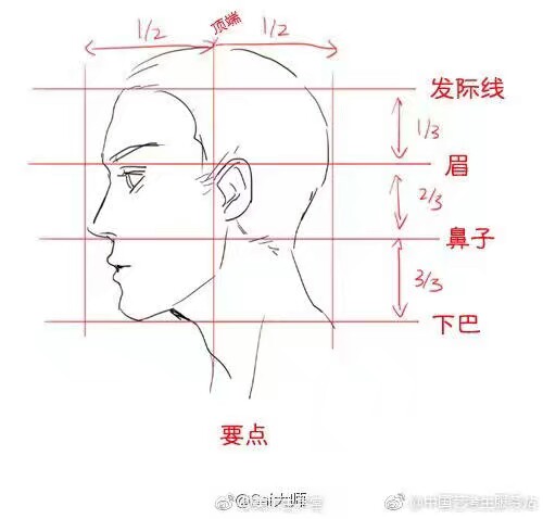 三庭五眼