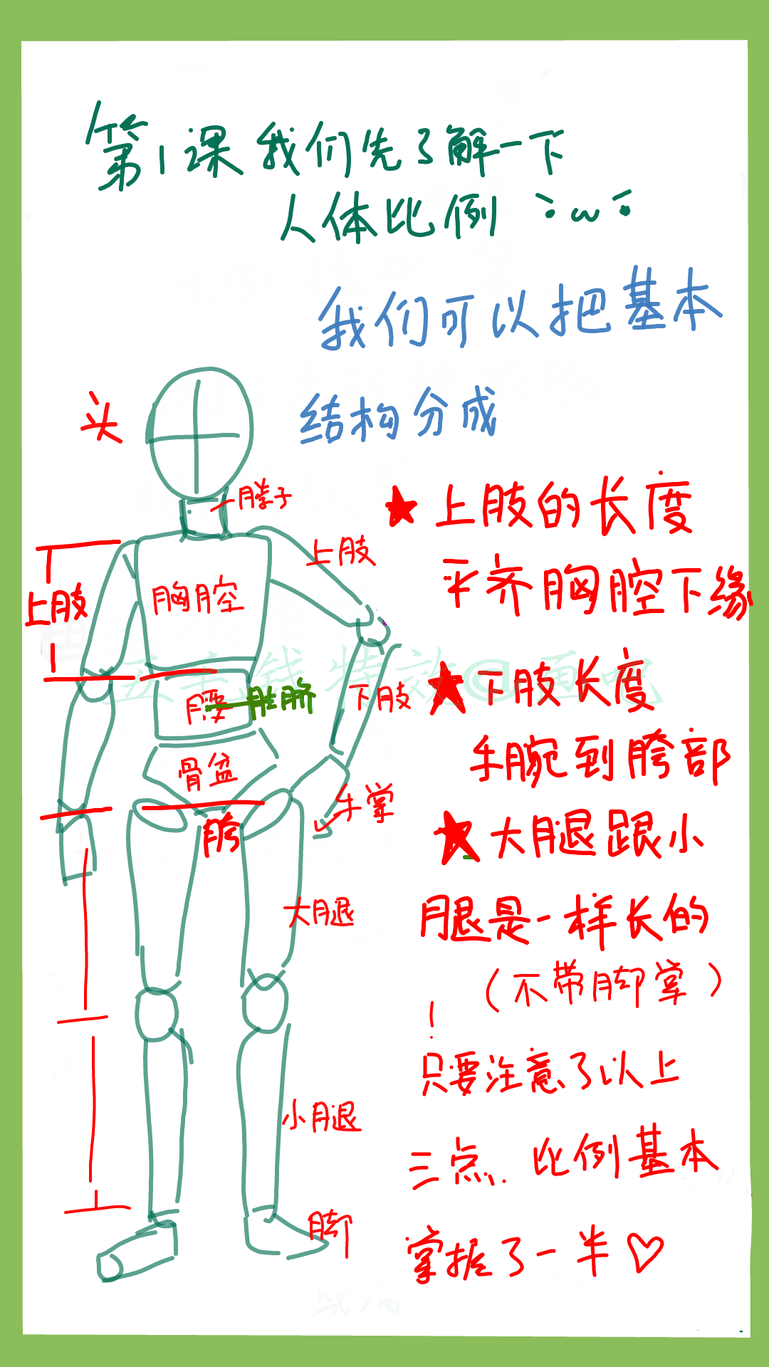 指绘人体教学〔来源画吧,侵删