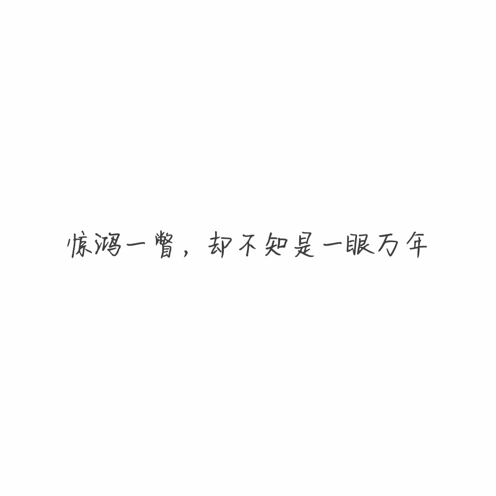 白底黑字 #文字 #背景