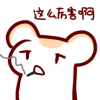 仓鼠表情包;bison仓鼠