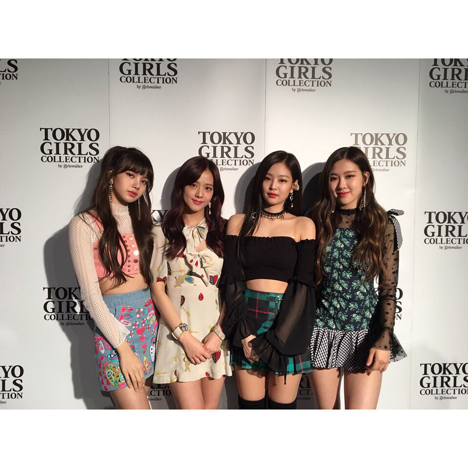 粉墨blackpink 金智秀 jisoo 金智妮 jennie 朴彩英 ros lisa