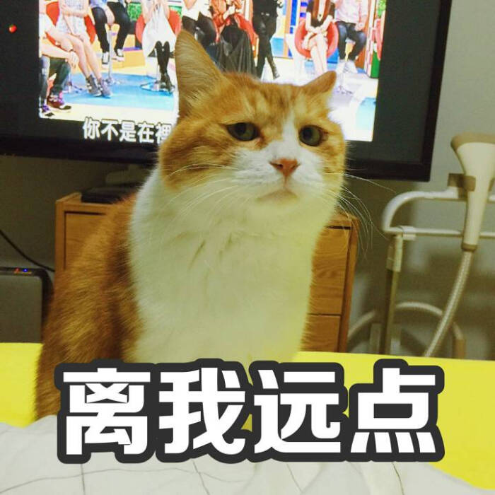 离我远点