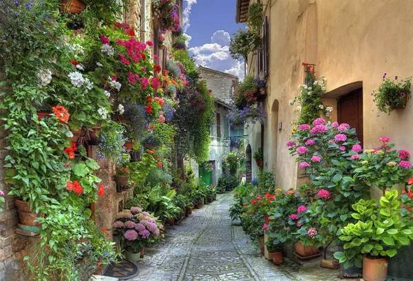 [美景②]意大利鲜花小镇喜欢安静,喜欢自由,喜欢淡淡的花香,喜欢