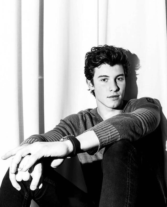 shawn mendes