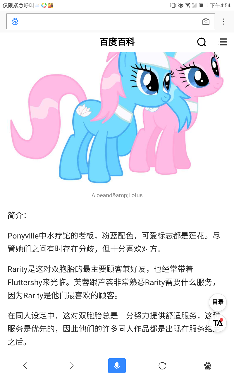 小马宝莉 马设 pony