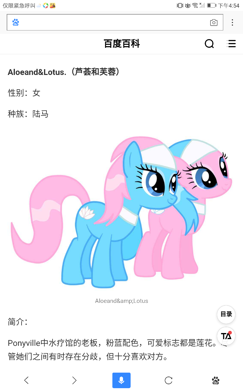 小马宝莉 马设 pony