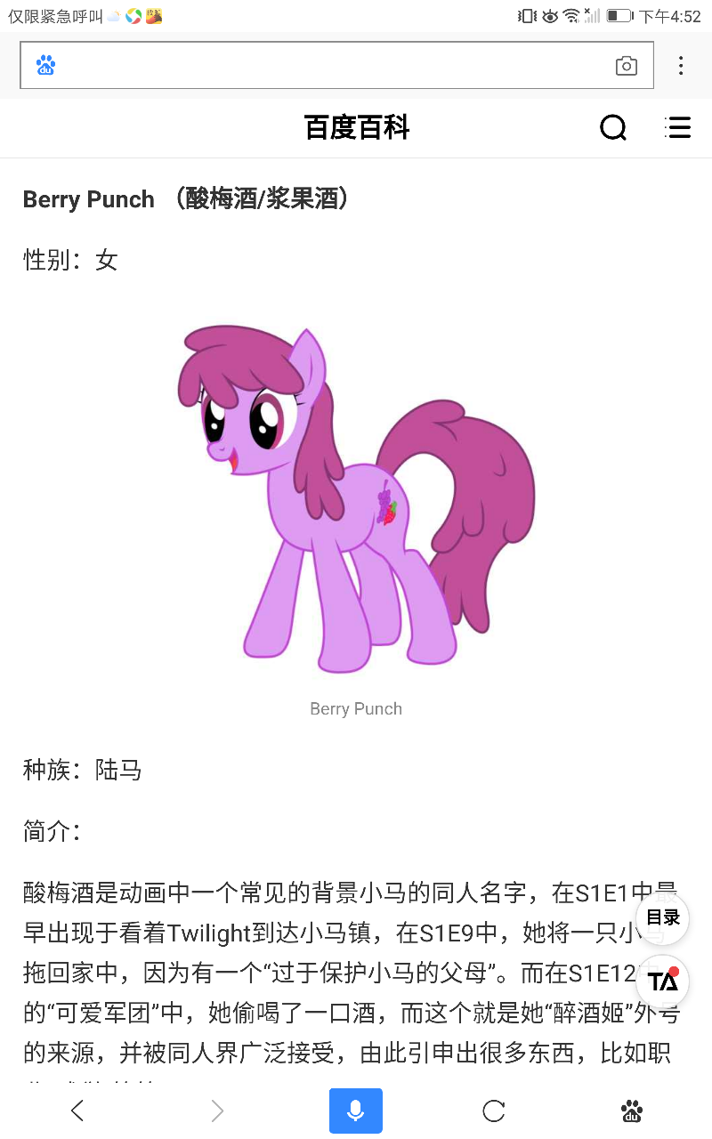 小马宝莉 马设 pony