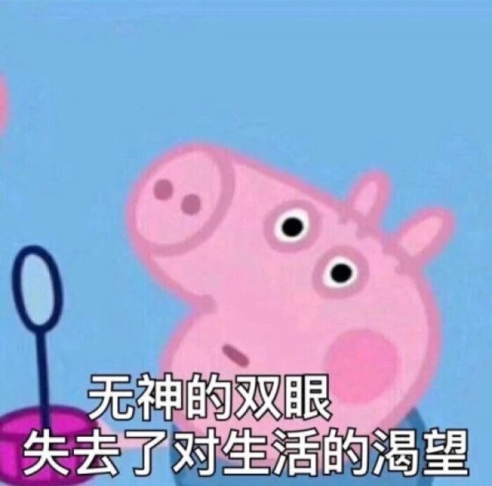 小猪佩奇 表情包 社会人必备!