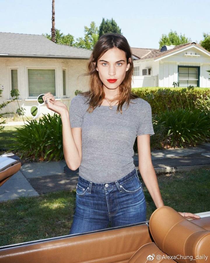 艾里珊·钟(alexa chung)