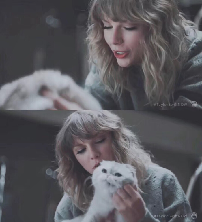 霉霉taylorswift# 资深猫奴泰勒斯