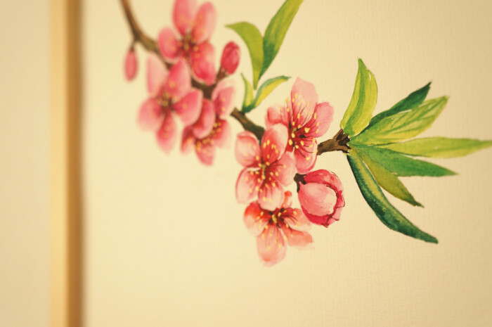桃花水彩画|装饰画花好月圆|私人定制绘画礼物人物唯美画像