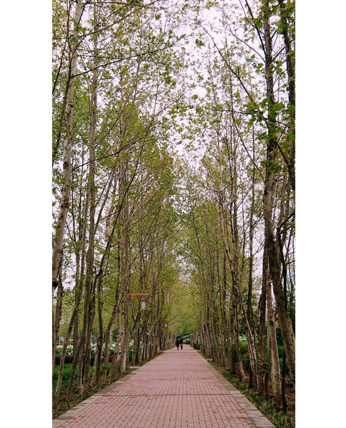 街拍 日常 风景 壁纸 白边