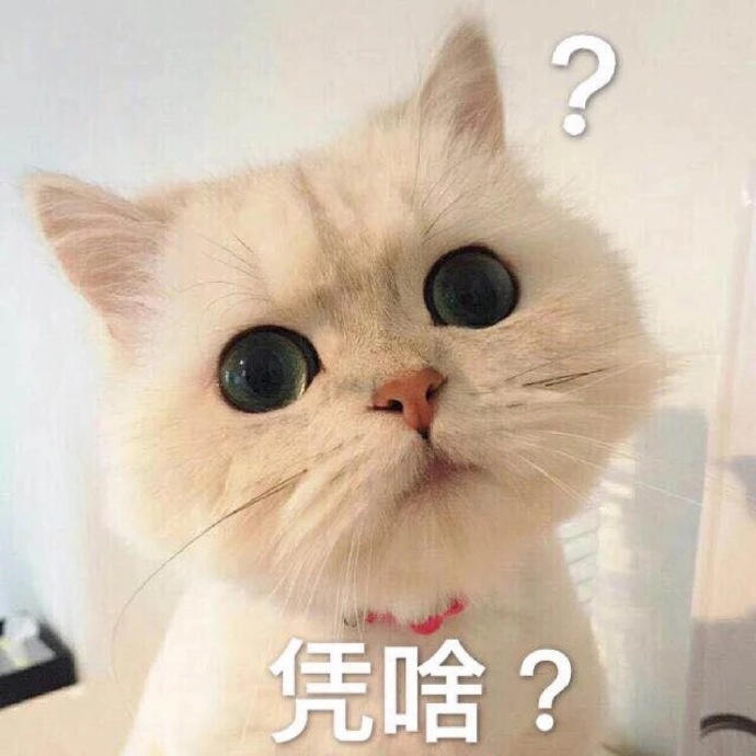 【杦桎#萌物#可爱猫咪表情包