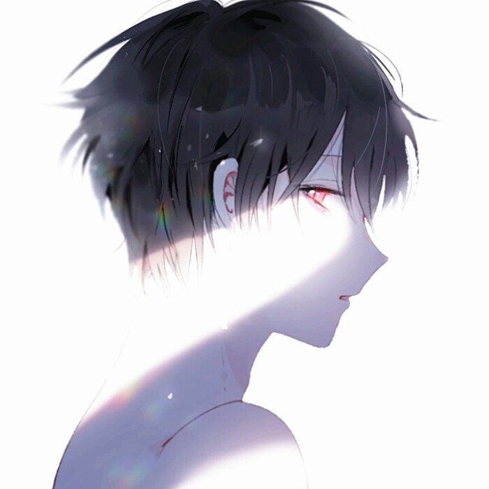凡王之血 必以剑终——动漫男头@诗楚歌为约- ——侵删致歉