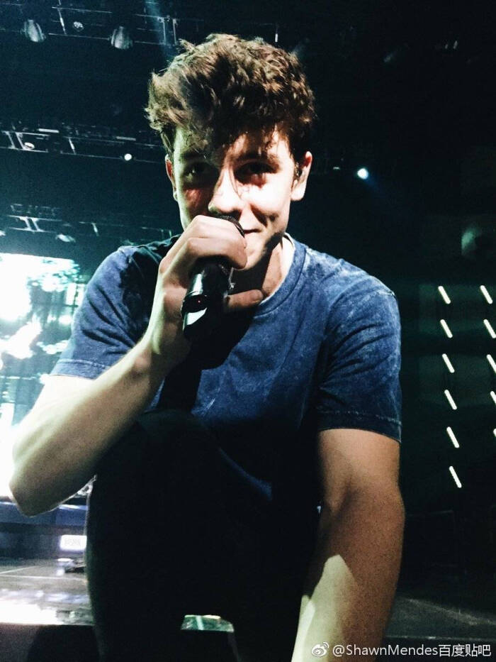 shawn mendes