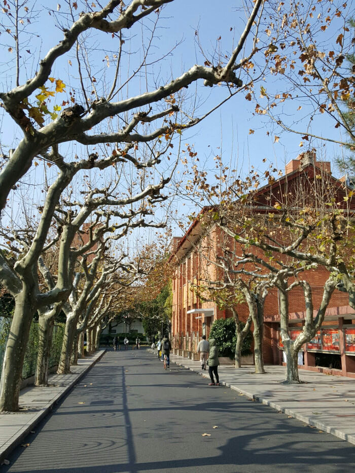 上海师范大学剪影