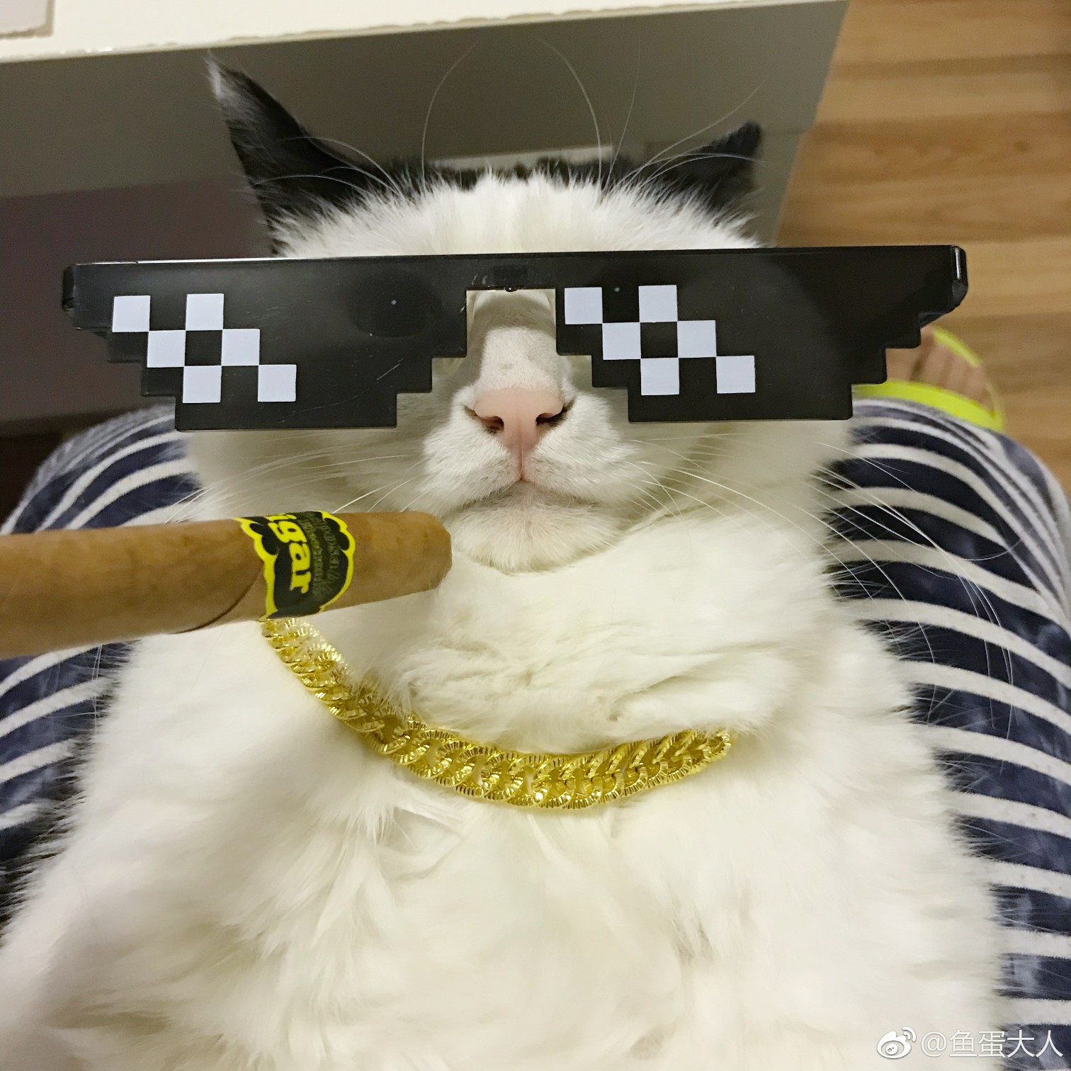 thug life