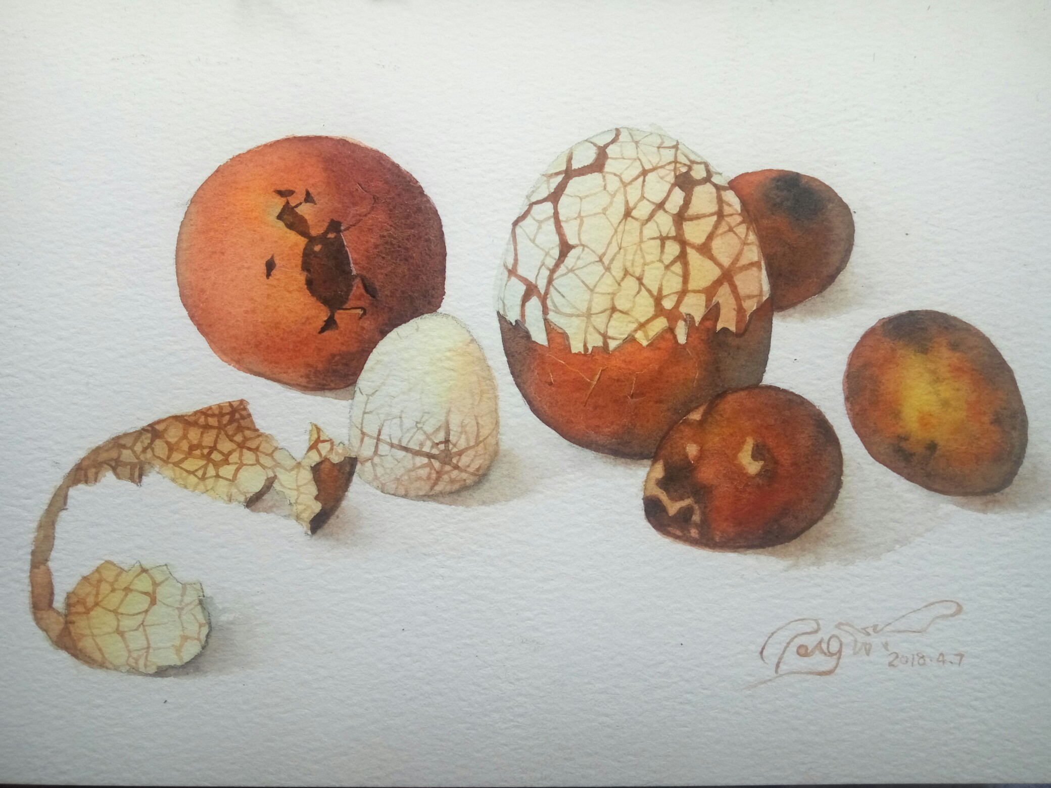 水彩画,茶叶蛋