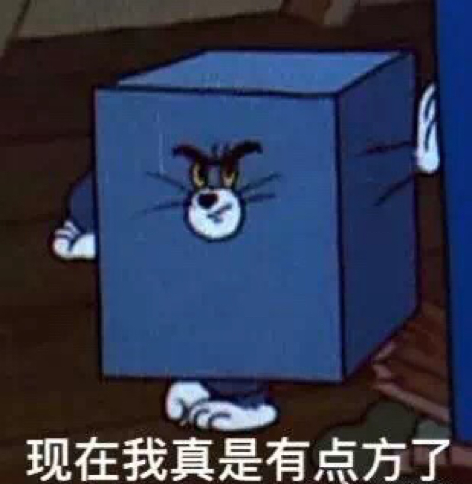 猫和老鼠表情包