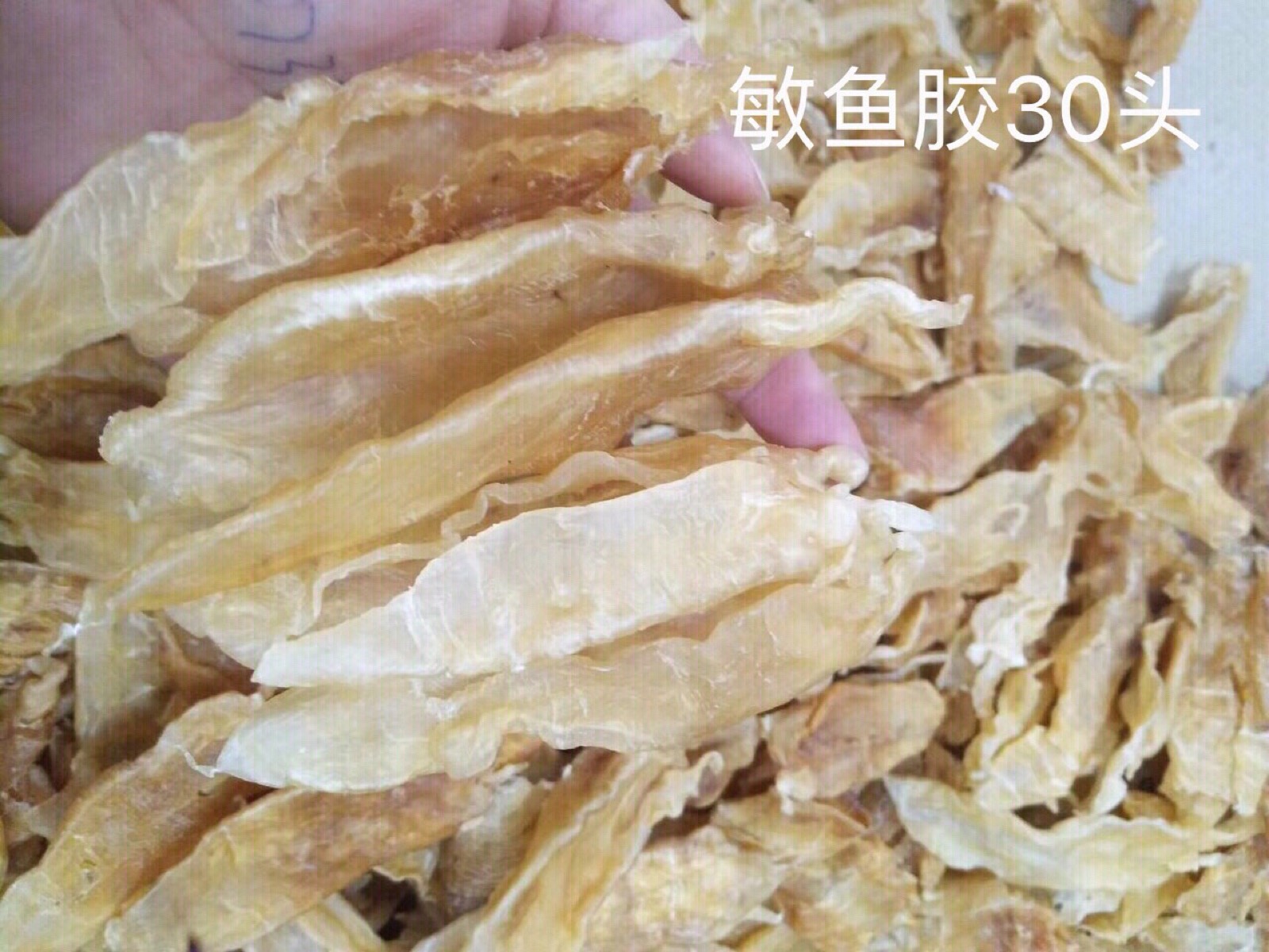 花胶功效由于鱼胶中含有大量的胶原蛋白质,且易于吸收和利用,因而备受