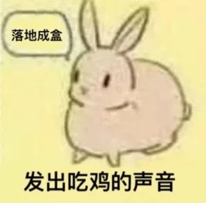 兔子表情包