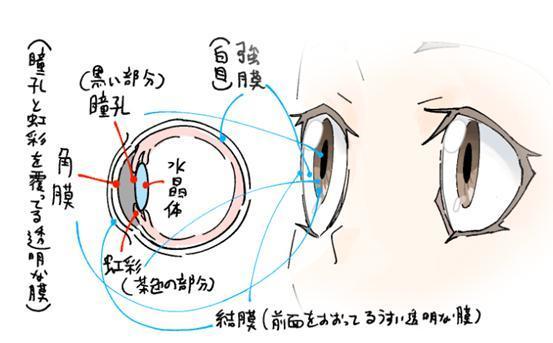 眼睛的画法