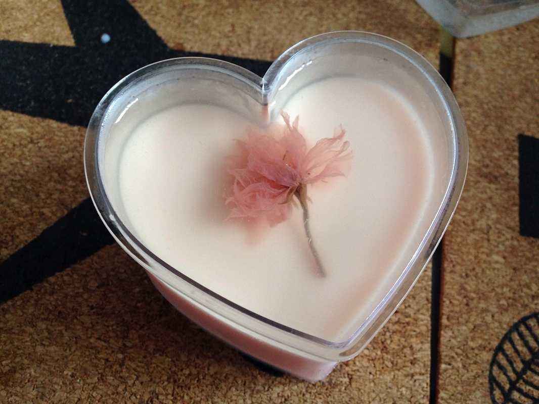 樱花布丁